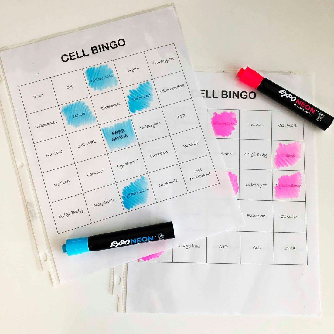 bingo-with-expo-neon-markers